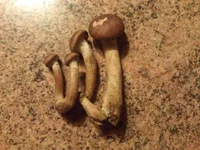 20121021_001001_1.webp