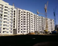 -0343.webp