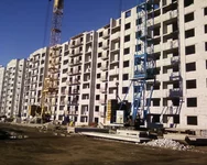 -0342.webp