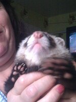 IMG_20120721_054204.jpg