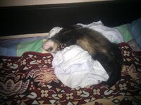IMG_20120623_191028.jpg