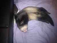 IMG_20121011_202351.jpg