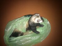 IMG_20121004_212859.jpg