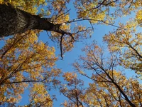 P9218018.webp