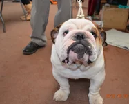 DSC_0362.JPG