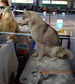 DSC_0366.jpg