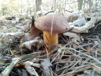 2012-10-21 12.41.35.webp