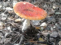 2012-10-21 11.45.15.webp