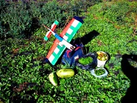 IMG414 копия-1.webp