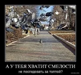 .webp