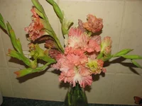 IMG_2677.webp