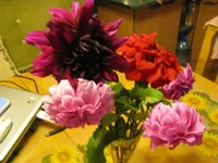 IMG_2687.webp