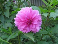 IMG_2722.webp