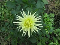 IMG_2724.webp