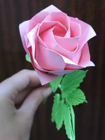 Роза Кавасаки в руке.jpg
