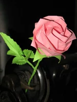  Кавасаки и механизм.webp
