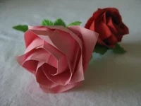  Кавасаки.webp