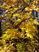 DSC04246.webp