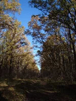 DSC04259.jpg