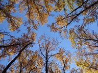 DSC04290.webp