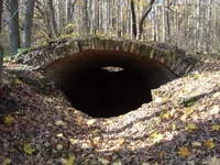 DSC04305.jpg