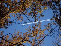 DSC04311.jpg