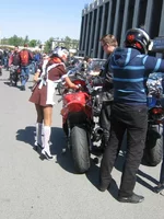 6985.webp