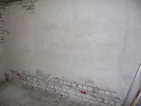 1111.jpg