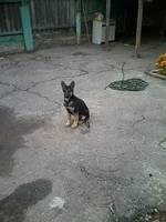 LLRKEU.webp