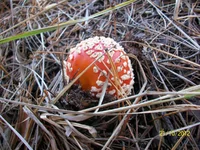 100_5119.jpg