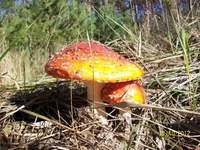 100_5125.jpg
