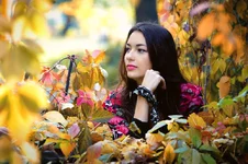 d5f3750e5253.webp