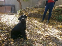 PA200021+.webp