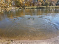 PA200039+.webp