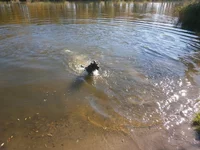 PA200040+.webp