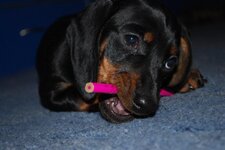 DSC_4134.jpg