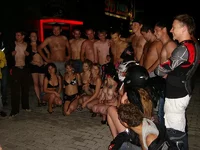 100D3949s.webp