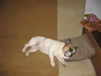 IMG_4847 (Small).webp