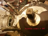  форум золтник.webp