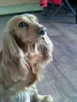 IMG0032A.webp IMG0032A.webp