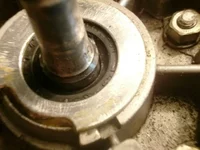 PA260120.webp