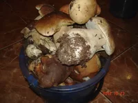 003.webp