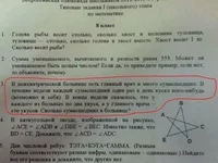 large25808.webp