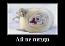 6319781_aj-ne-pizdi.png