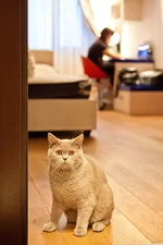 IMG_97711.webp