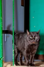 IMG_97481.webp