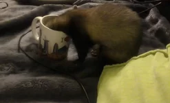 2012-10-28 18.46.45_1.jpg