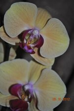 DSC_0691.JPG
