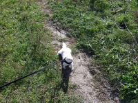 SAM_0920_1.jpg