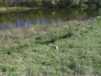 SAM_0935_1.jpg